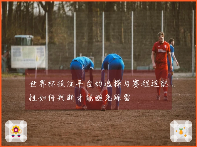 世界杯投注平台的选择与赛程适配性如何判断才能避免踩雷