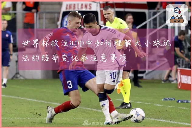 世界杯投注app中如何理解大小球玩法的赔率变化和注意事项