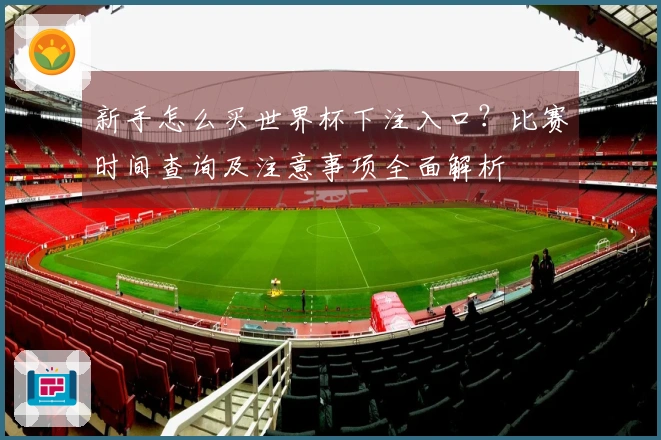 新手怎么买世界杯下注入口？比赛时间查询及注意事项全面解析