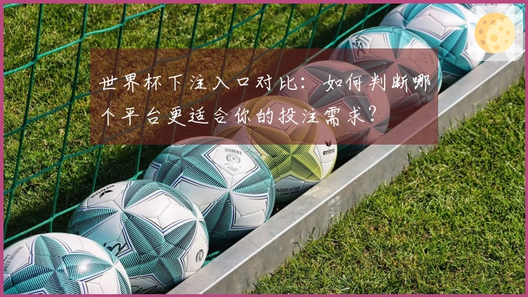 世界杯下注入口对比：如何判断哪个平台更适合你的投注需求？