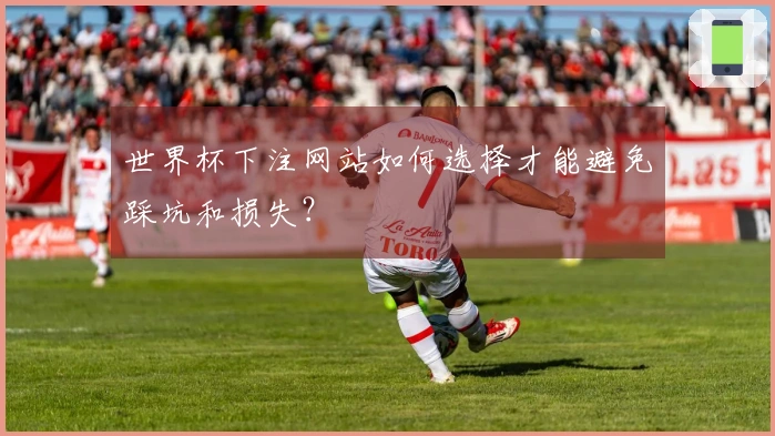 世界杯下注网站如何选择才能避免踩坑和损失？