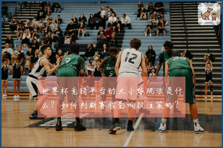 世界杯竞猜平台的大小球玩法是什么？如何判断赛程影响投注策略？