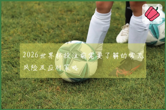 2026世界杯投注前需要了解的常见风险及应对策略