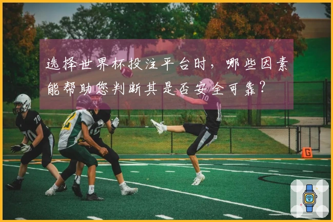 选择世界杯投注平台时，哪些因素能帮助您判断其是否安全可靠？