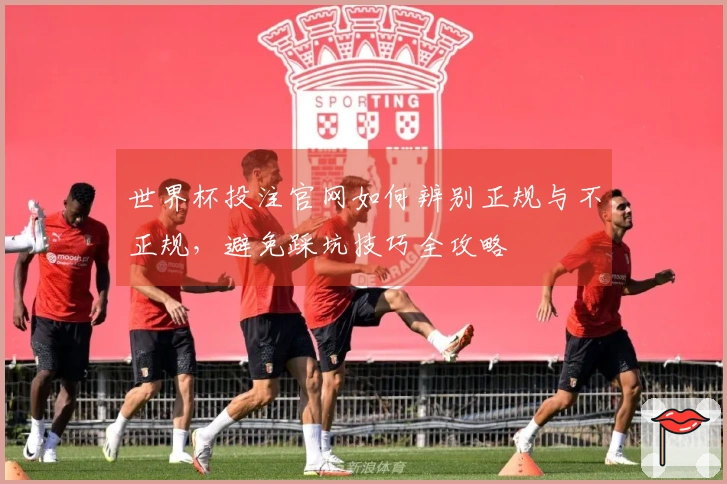 世界杯投注官网如何辨别正规与不正规，避免踩坑技巧全攻略