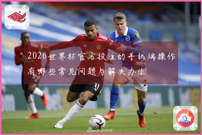 2026世界杯官方投注的手机端操作有哪些常见问题与解决办法