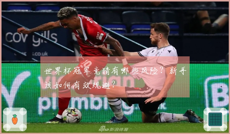 世界杯冠军竞猜有哪些风险？新手该如何有效规避？
