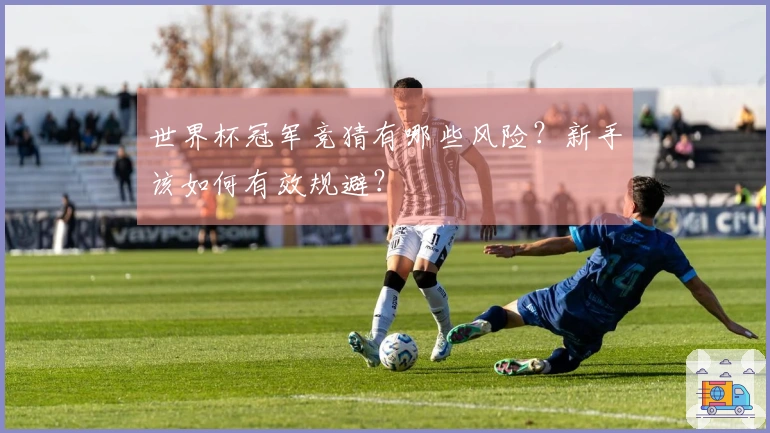 世界杯冠军竞猜有哪些风险？新手该如何有效规避？