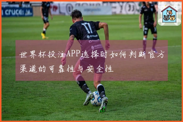 世界杯投注APP选择时如何判断官方渠道的可靠性与安全性