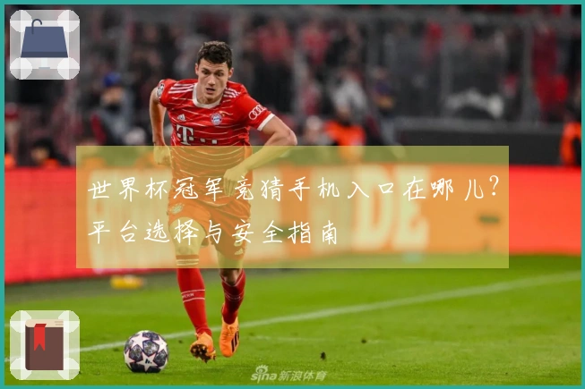 世界杯冠军竞猜手机入口在哪儿？平台选择与安全指南