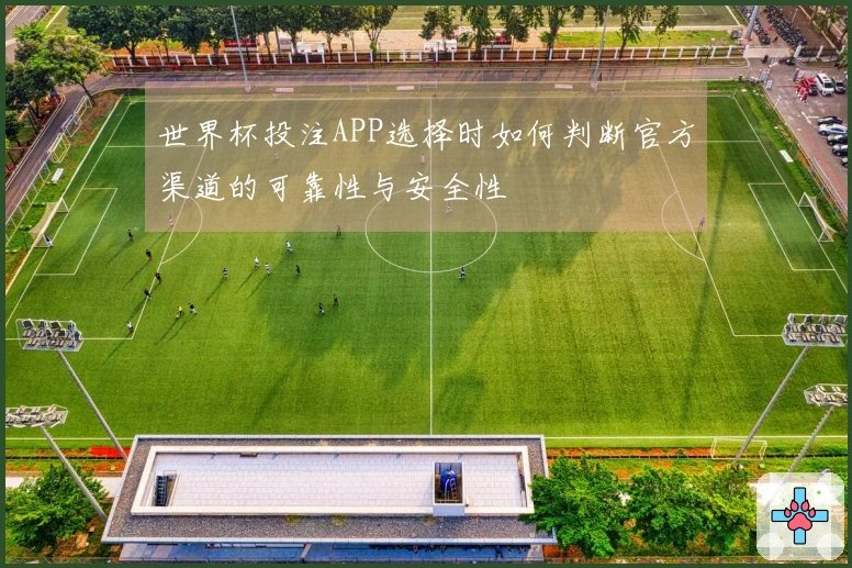 世界杯投注APP选择时如何判断官方渠道的可靠性与安全性