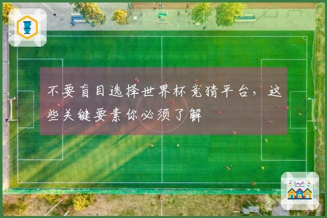 不要盲目选择世界杯竞猜平台，这些关键要素你必须了解