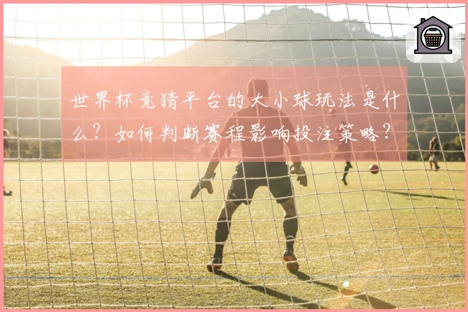 世界杯竞猜平台的大小球玩法是什么？如何判断赛程影响投注策略？