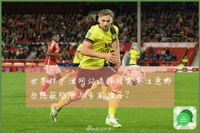 世界杯下注网站选择时需要注意哪些隐蔽陷阱与专家推荐？