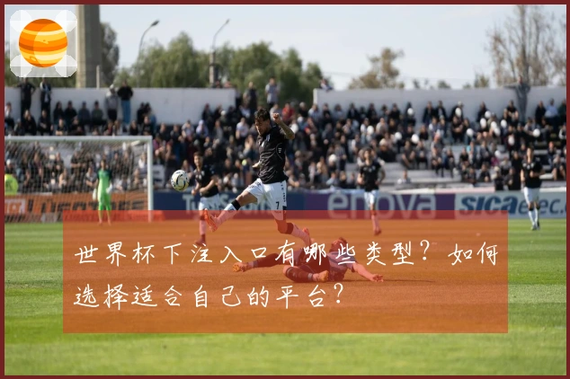 世界杯下注入口有哪些类型？如何选择适合自己的平台？