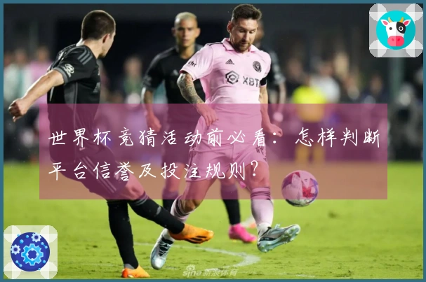 世界杯竞猜活动前必看：怎样判断平台信誉及投注规则？