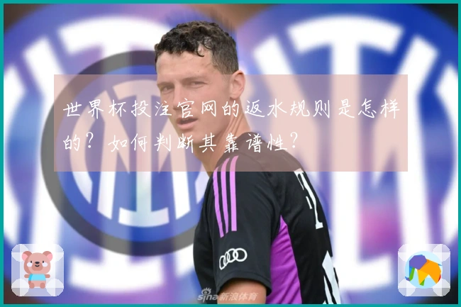 世界杯投注官网的返水规则是怎样的?如何判断其靠谱性?