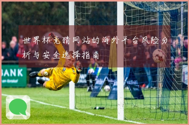 世界杯竞猜网站的海外平台风险分析与安全选择指南