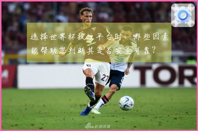 选择世界杯投注平台时，哪些因素能帮助您判断其是否安全可靠？