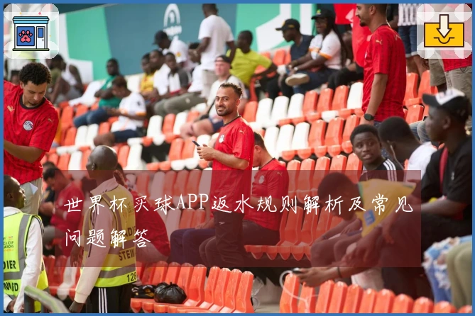 世界杯买球APP返水规则解析及常见问题解答